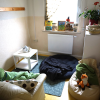 hort_24_25